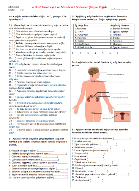 6.6.12BDenetleyici2Bve2BD25C325BCzenleyici2BSistemler2B25C32587al25C425B125C5259Fma2BKa25C4259F25C425B1d25C425B11 1